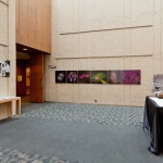 Art show display