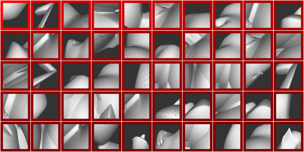 These images used in the study provoked some of the strongest response from neurons that help the rhesus monkeys subjects understand the direction of gravity. (Credit: Johns Hopkins University)